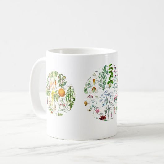 植物のイラストレーション- Larousseの植物 コーヒーマグカップ (正面左)
