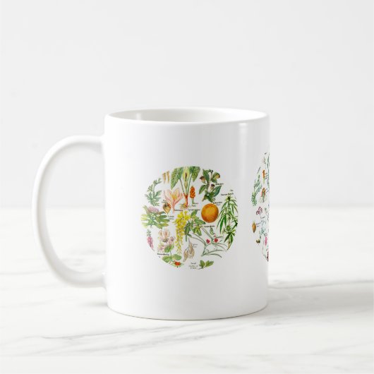 植物のイラストレーション- Larousseの植物 コーヒーマグカップ (左)
