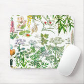 植物のイラストレーション- Larousseの植物 マウスパッド (マウス)