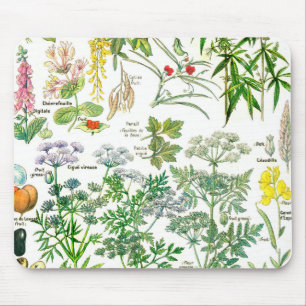 植物のイラストレーション- Larousseの植物 マウスパッド