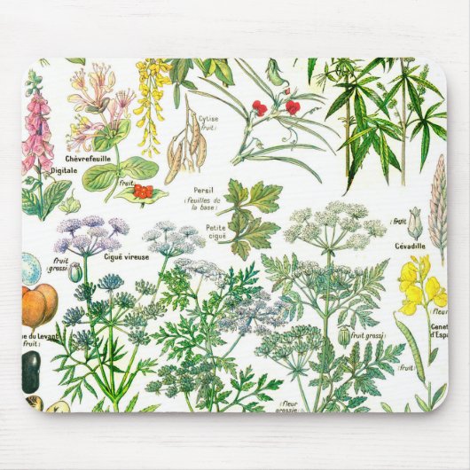 植物のイラストレーション- Larousseの植物 マウスパッド (正面)