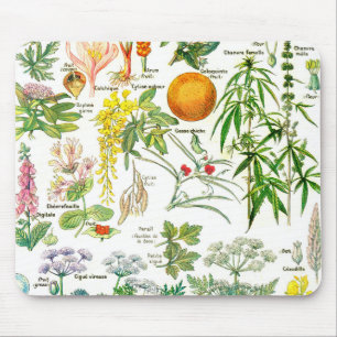 植物のイラストレーション- Larousseの植物 マウスパッド