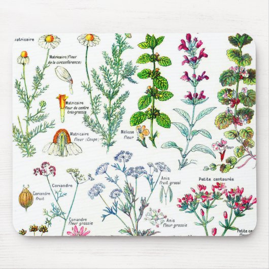 植物のイラストレーション- Larousseの植物 マウスパッド (正面)