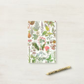 植物のイラストレーションLarousseの植物のdangereus ポストイット (デスク上)