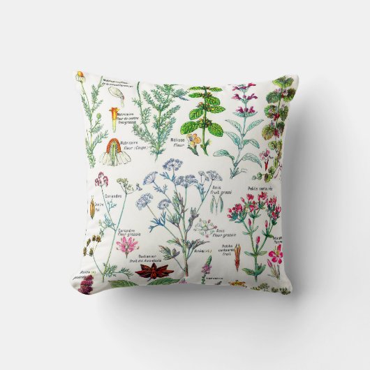 植物のイラストレーションLarousseの植物 クッション (正面)