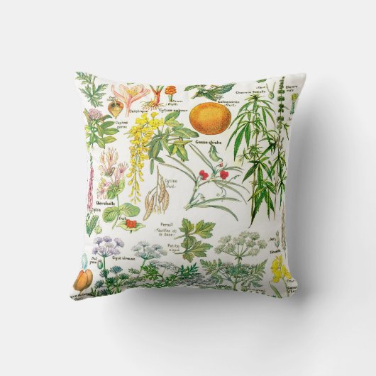 植物のイラストレーションLarousseの植物 クッション (裏面)