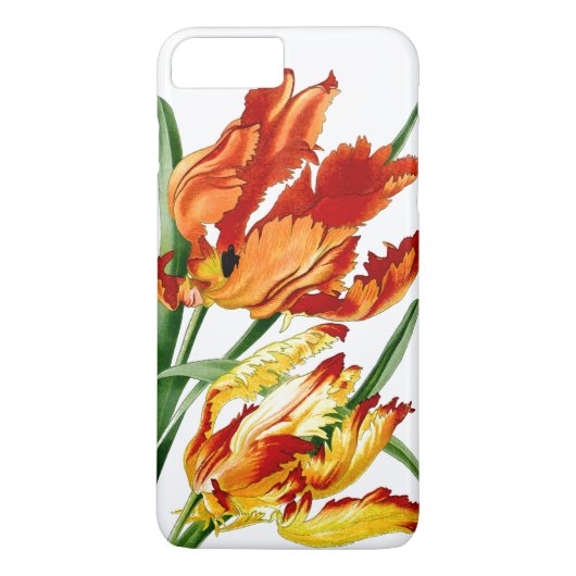 植物のオウムのチューリップの花の花のiPhone 7の場合 Case-Mate iPhoneケース (裏面)