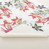 植物のオダマキ(植物)によってはSherpa毛布が開花します シェルパブランケット (3/4)