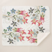 植物のオダマキ(植物)によってはSherpa毛布が開花します シェルパブランケット (正面(横))