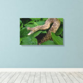 植物のガラガラ キャンバスプリント (インサイチュ (ウッドフロア))