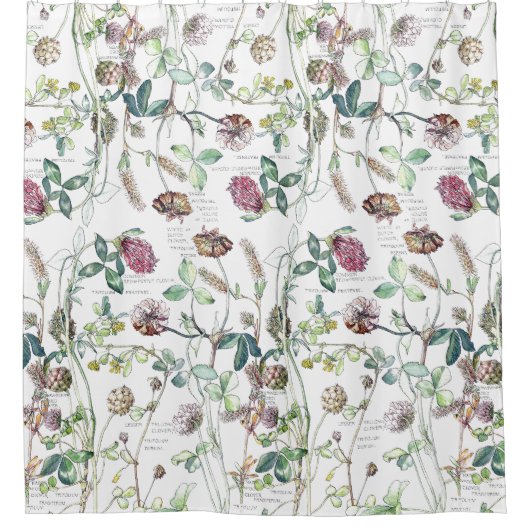 植物のクローバーの野生の花によってはシャワー・カーテンが開花します シャワーカーテン (正面)