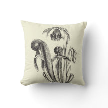 植物のコブラの植物のヴィンテージ