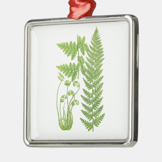 植物のシダのイラストレーションNo.7の熱帯装飾 メタルオーナメント (左)