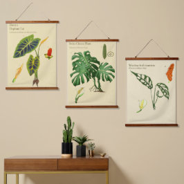 植物のタペストリー - モンステラセット 吊り下げ型タペストリー