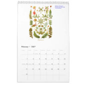 植物のデッサンの2012カレンダー カレンダー (2月 2027)