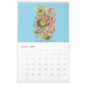 植物のデッサンの2012カレンダー カレンダー (1月 2027)