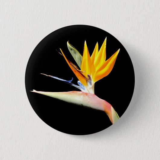 植物のバッジ極楽鳥 缶バッジ (正面)