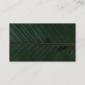 植物のバナナ 名刺 (裏面)