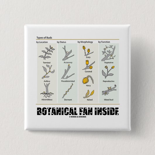 植物のファンの内部(タイプの芽) 缶バッジ (正面)