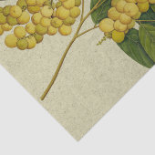 植物のプリントLanzones 薄葉紙 (詳細)