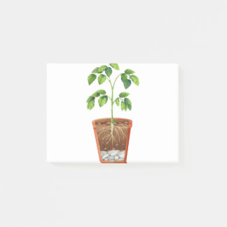 植物のポット ポストイット
