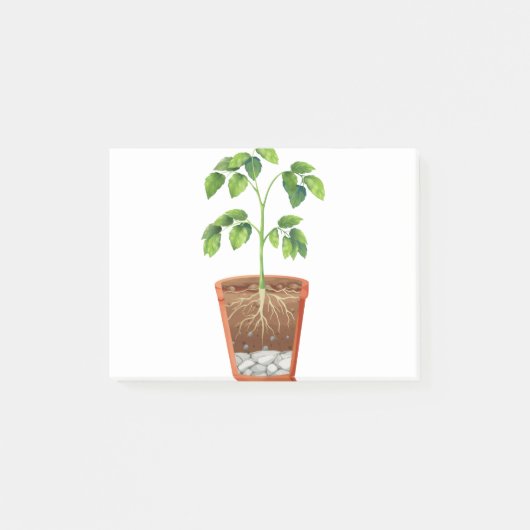 植物のポット ポストイット (正面)