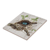 植物のヴィンテージの原稿の短命なものの鳥の巣のフランス語 タイル (側面)