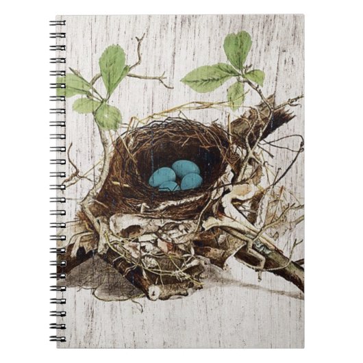 植物のヴィンテージの原稿の短命なものの鳥の巣のフランス語 ノートブック (正面)