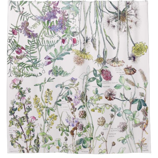 植物のヴィンテージの野生の花の花のシャワー・カーテン シャワーカーテン (正面)