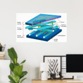 植物の一次細胞壁の分子構造 ポスター (ホームオフィス)