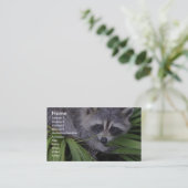 植物の中のアライグマ 名刺 (スタンド正面)