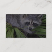 植物の中のアライグマ 名刺 (裏面)