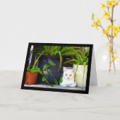 植物の中の猫 カード (黄色い花)