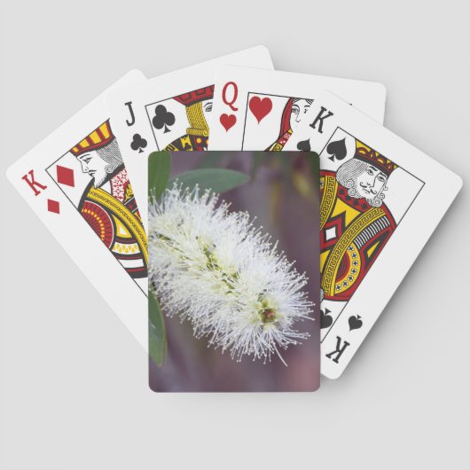 植物の写真が付いているカードを遊ぶこと トランプ (裏面)