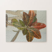 植物の写真 ジグソーパズル (横)