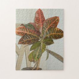 植物の写真 ジグソーパズル