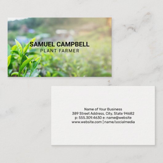 植物の分野 名刺 (正面/裏面)