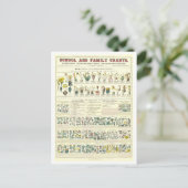 植物の分類の教育図 ポストカード (スタンド正面)