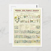 植物の分類の教育図 ポストカード (正面/裏面)