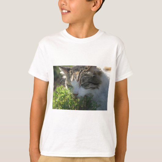 植物の匂いを嗅ぐ猫 Tシャツ (正面)