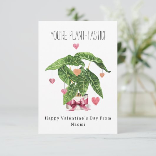 植物の味のプン写真教室バレンタイン カード (スタンド正面)