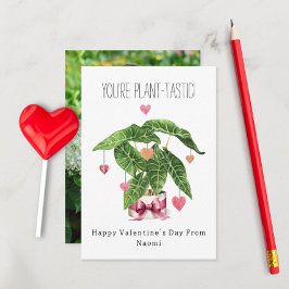 植物の味のプン写真教室バレンタイン カード