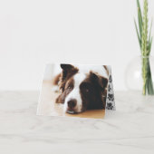 植物の喜びの肉球プリント | ペットの写真 折りたとうし シーズンカード (裏面)