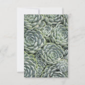 植物の多肉植物園|結婚式招待状 招待状 (裏面)