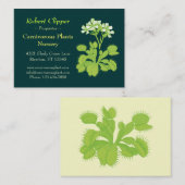 植物の子供部屋の名刺 名刺 (正面/裏面)