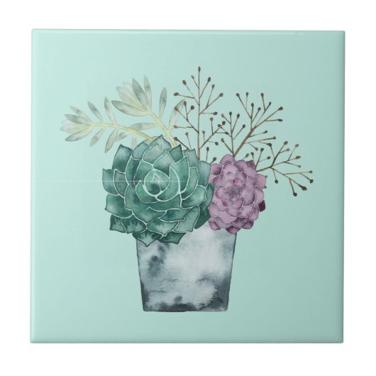 植物の幸福コレクション |多肉類 タイル (正面)