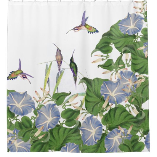 植物の朝顔によっては花の庭が開花します シャワーカーテン (正面)