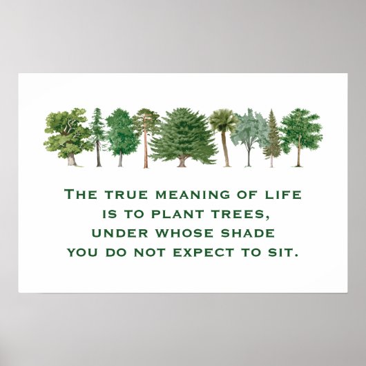 植物の木の意味ライフエコことわざB ポスター (正面)
