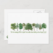 植物の木 – 木の恋人、ハガー ポストカード (正面/裏面)