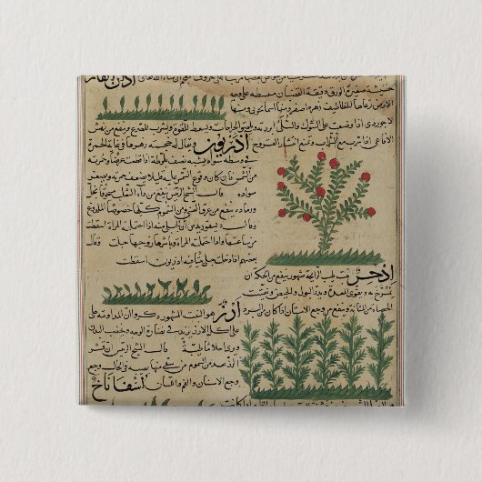 植物の植物、「からのイラストレーション 缶バッジ (正面)